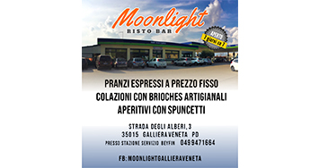 moonlight_ok.jpg